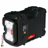 9480 Remote Area Lighting System, Noire 2